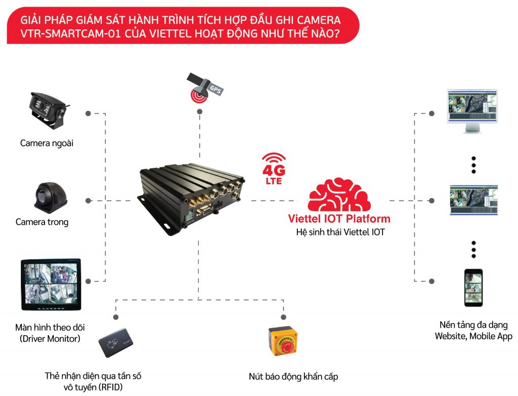 camera nghị định 10
